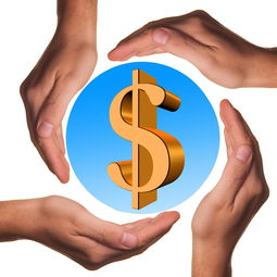 开云官方-体育教学中增强现实与虚拟现实融合应用，结合教学实践谈谈示范在体育教学中的运用