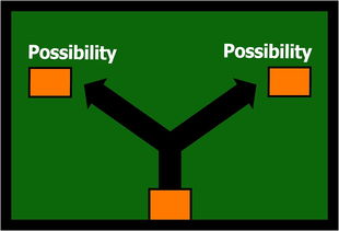 开云中国大陆-体育赛事风险管理与应急策略研究分析，体育赛事风险管理的主要内容