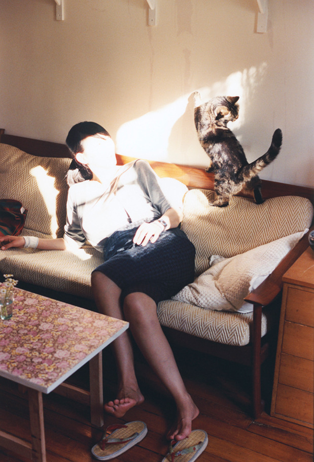 体育赛事风险管理与应急策略研究分析，体育赛事风险管理的主要内容