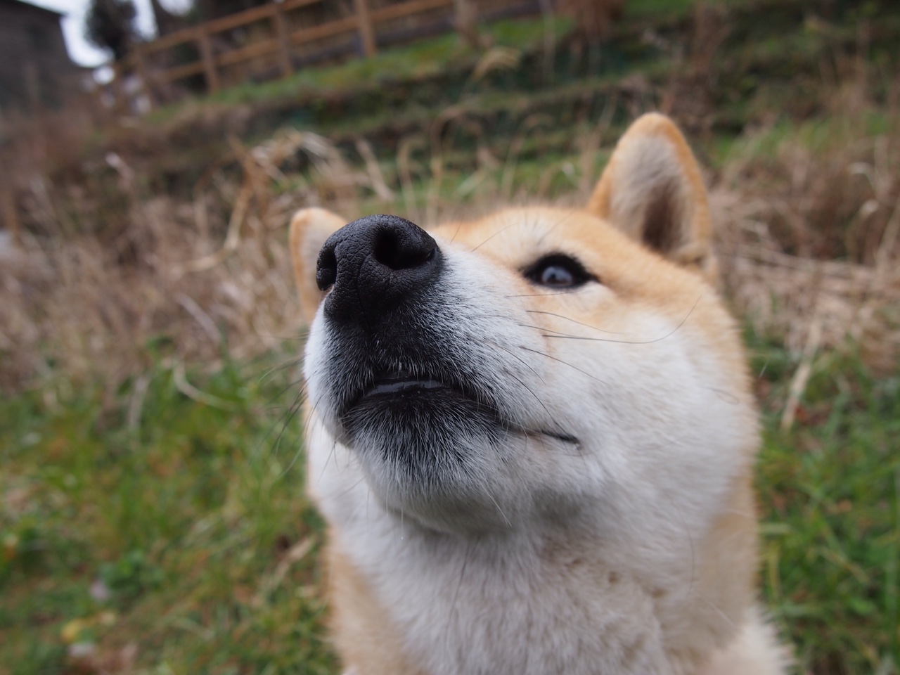 法甲球队VAR判罚语义处理系统的优化策略探讨，var判罚标准