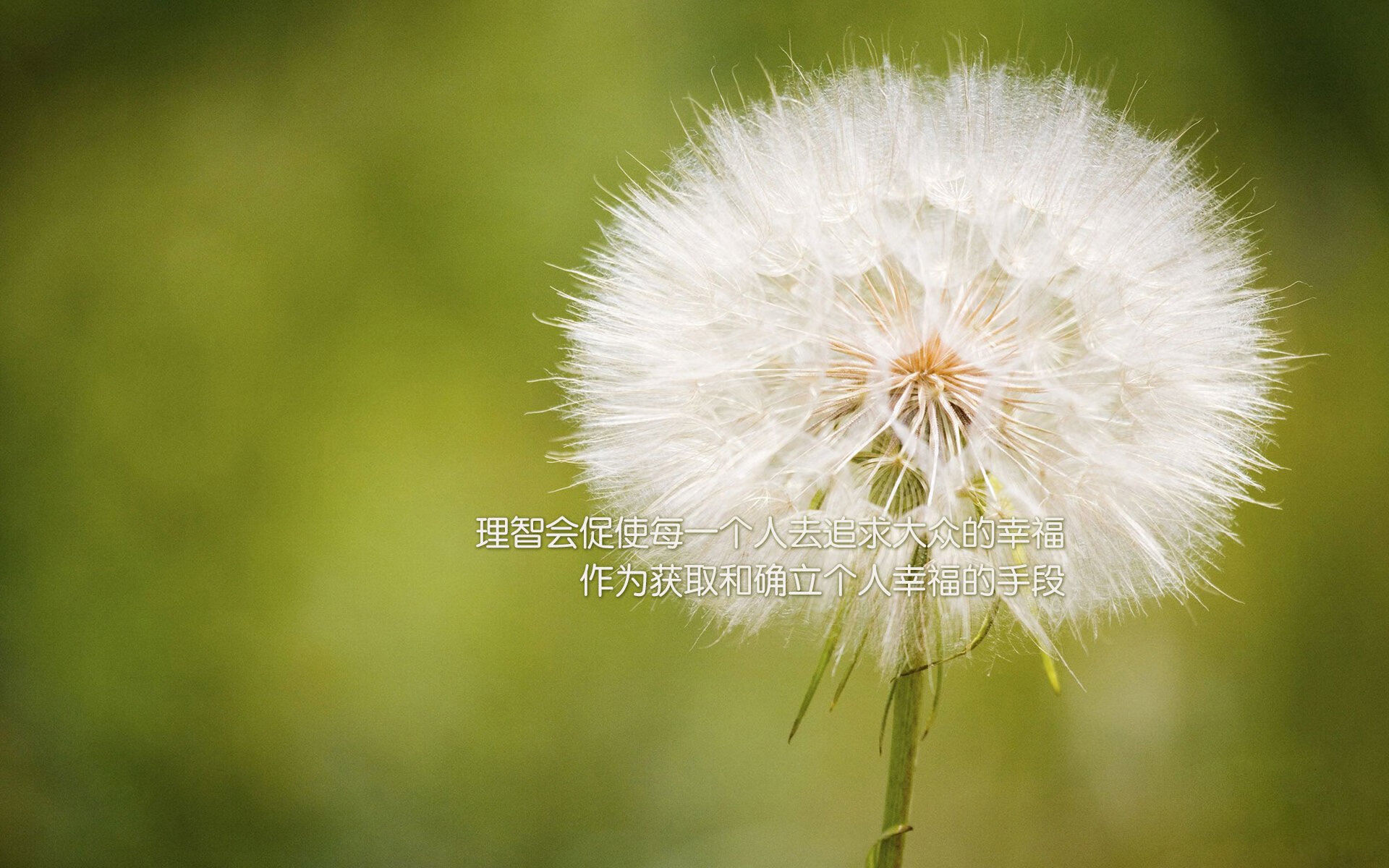 kaiyun体育app-世界杯中国女足晋级 球迷齐声喝彩，中国队女足世界杯