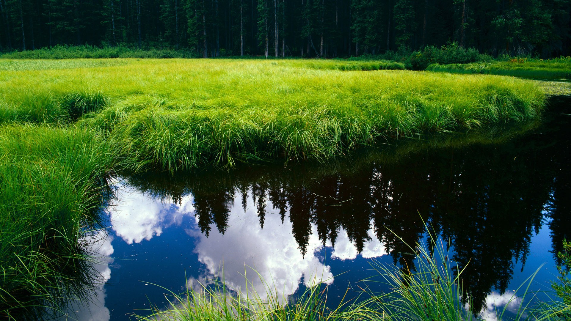 开云kaiyun-冲刺阶段划幅与最终名次关系分析，冲刺阶段是什么意思