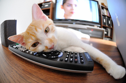 印度队未来发展:注重心理素质培养,提升比赛稳定性,印度队队服