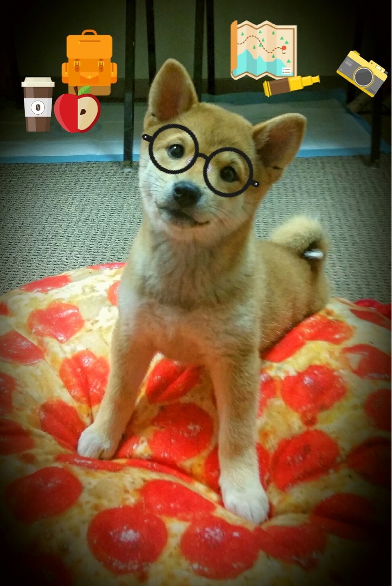 kaiyun官方入口登录-女足世界杯中国队分组出炉备战全面启动，中国女足世界杯阵容