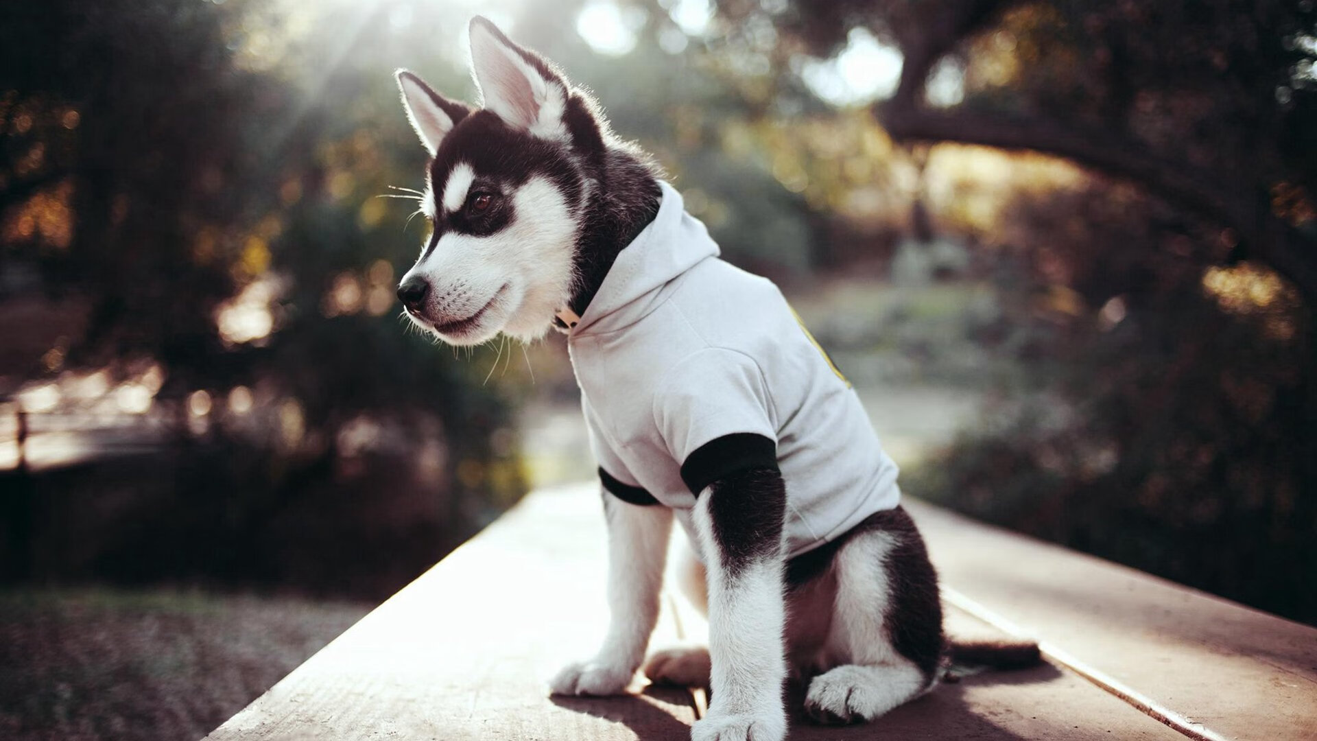 开云中国-水晶宫主打边路速度形成压制，水晶宫队