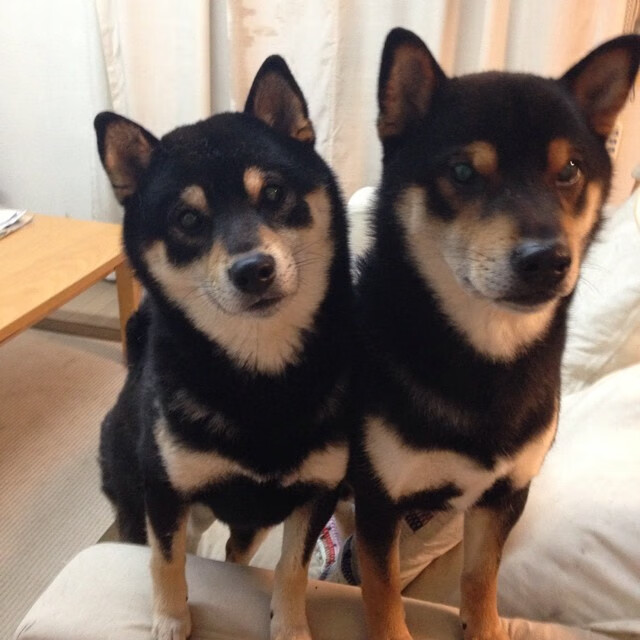 球员触球频次是否过高导致推进效率下降,如何提高触球频率