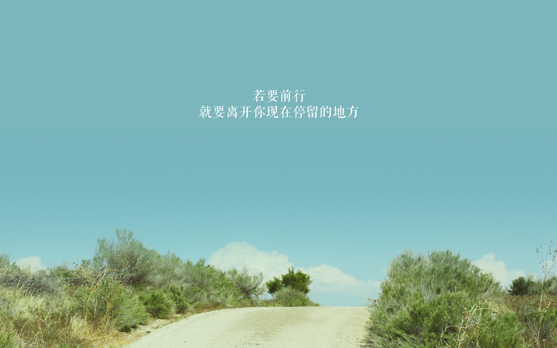 世界杯激情狂潮:精彩精彩,永不停歇!,世界杯之吻