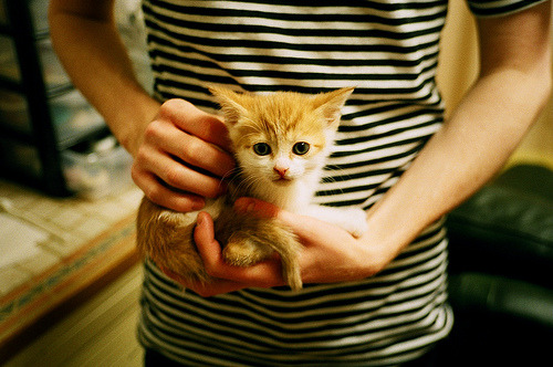 澳大利亚篮球超级联赛中，墨尔本队风头正劲，冲击总冠军，澳大利亚篮球联赛队伍