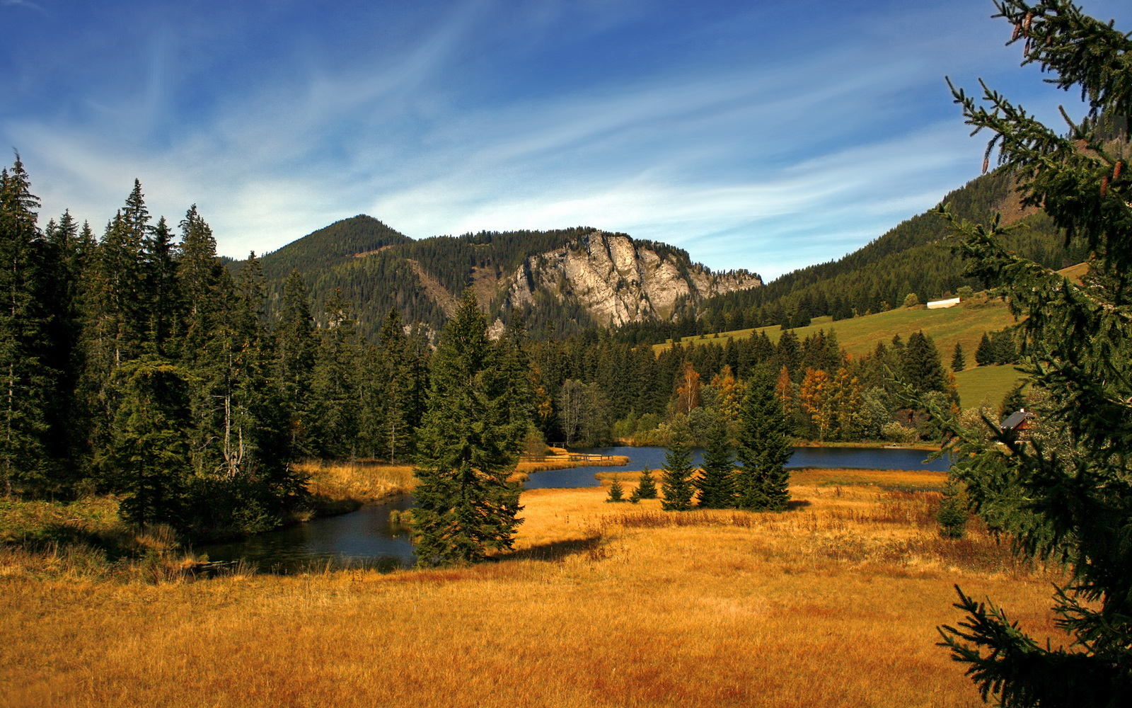 特立尼达和多巴哥在中美洲锦标赛中夺冠，体育发展迅速