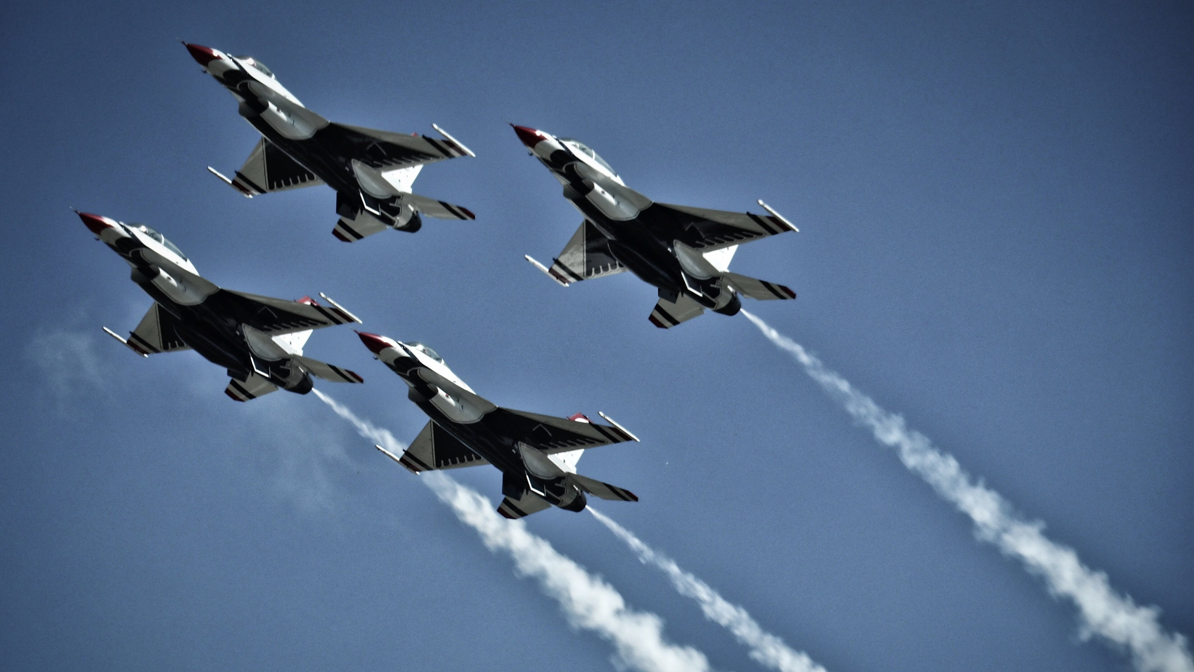 自由泳长程中立代表队A展现节奏耐性，自由泳出发技术