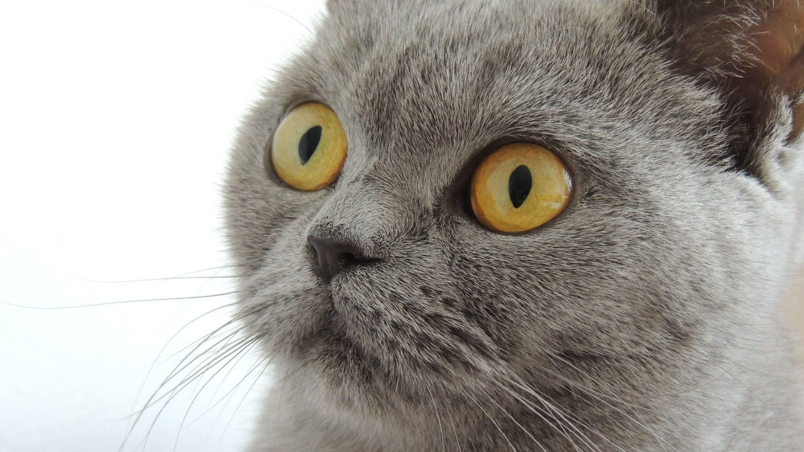 开云·Kaiyun网页版-训练中强度不断升级球员表现积极展现职业精神与自律态度，职业球员的训练