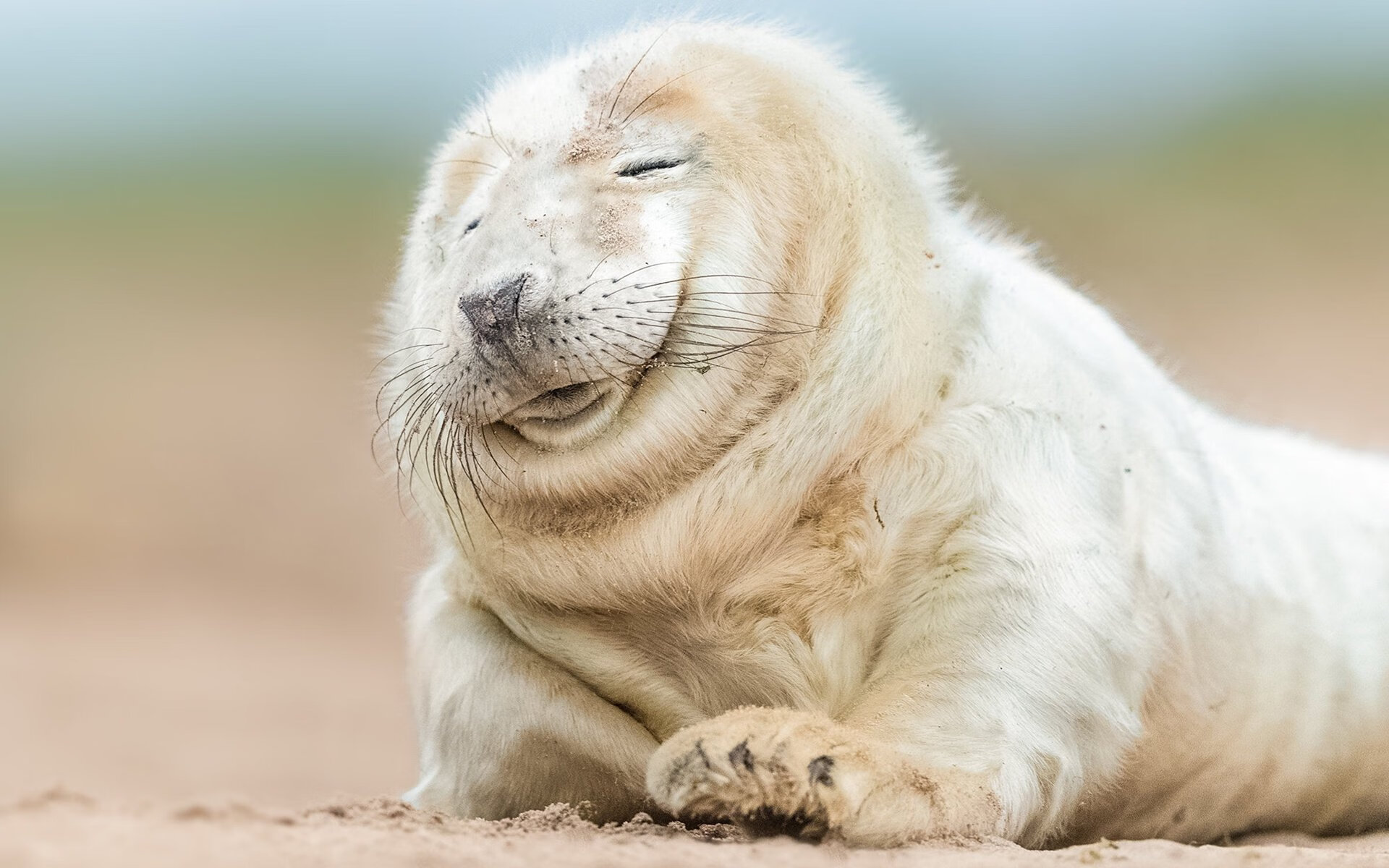 中国足球青少年足球培训创新实践,青少年足球培训营