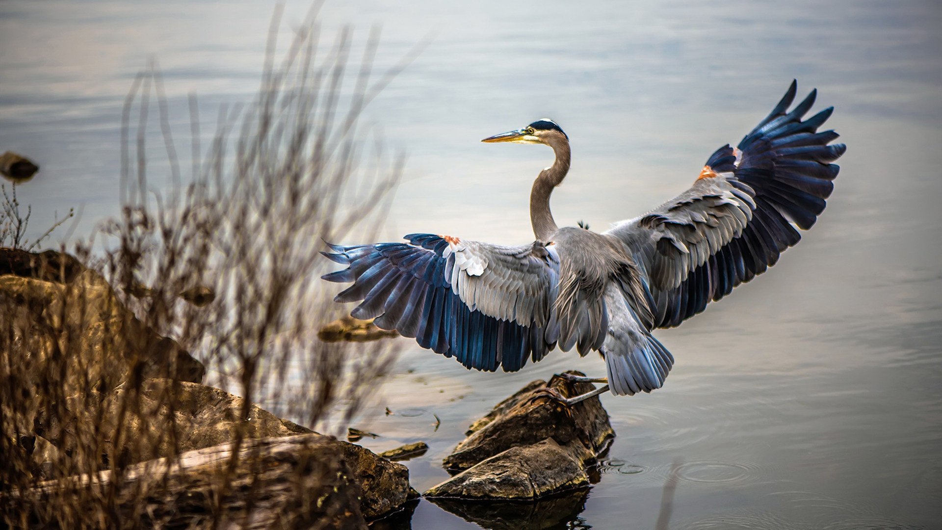 中国足球青训营教练与选手沟通模式优化思路，足球培训教练
