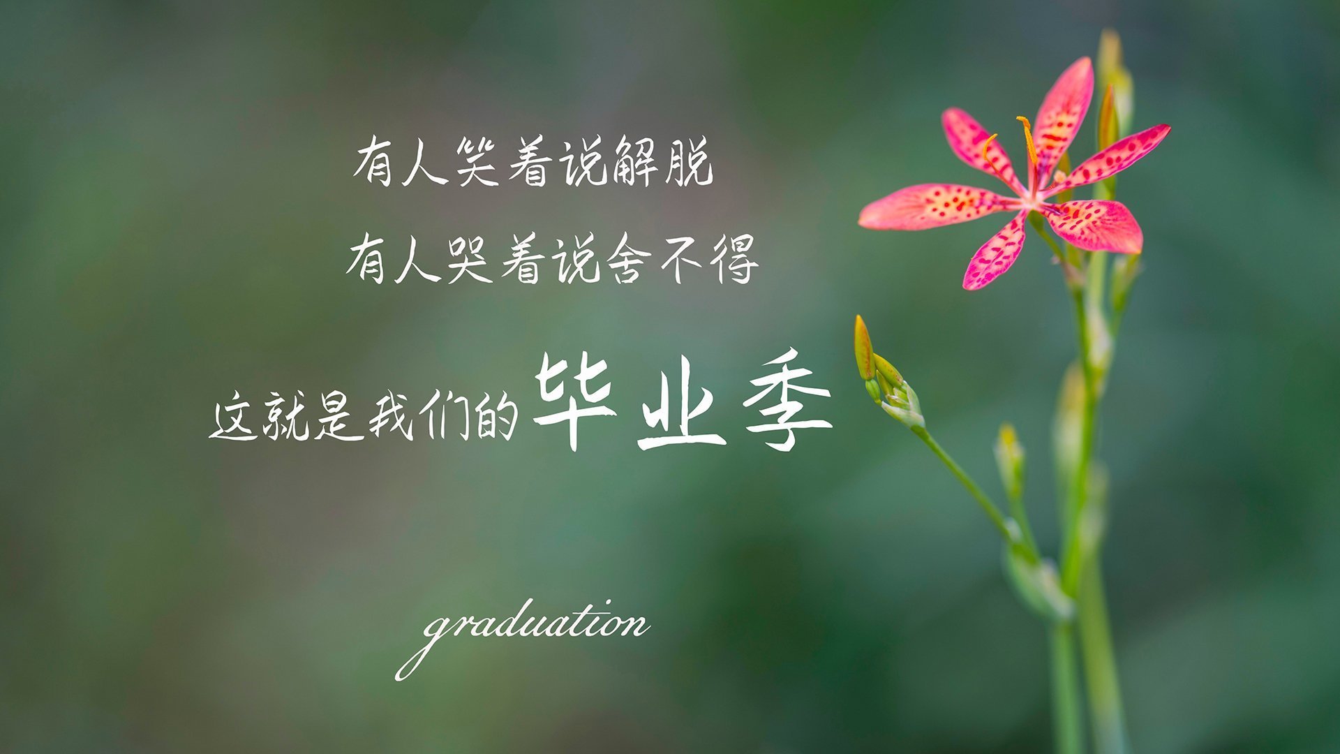 中超联赛是否具备国际商业合作基础，中超合作伙伴