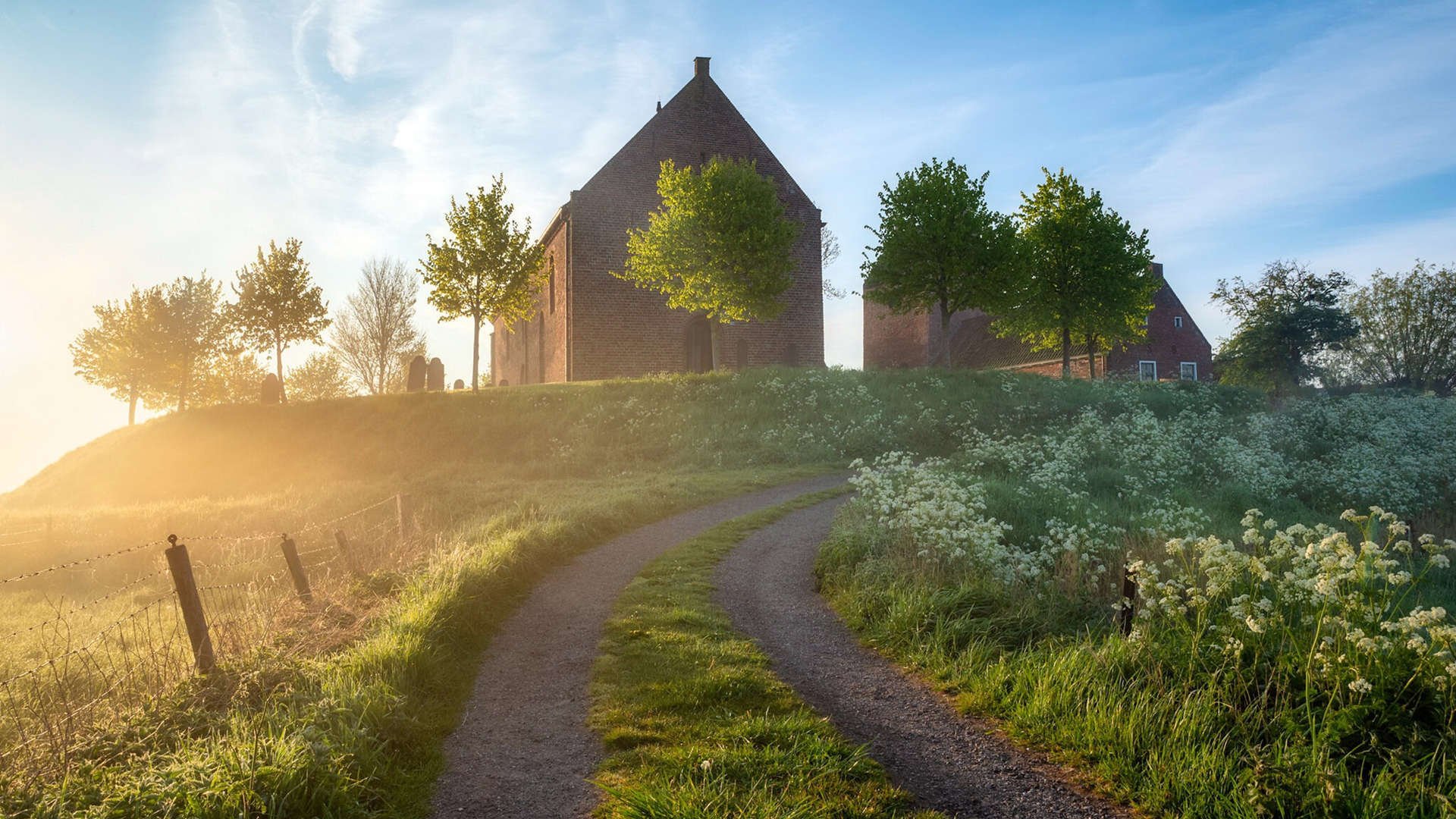 体育新闻中心推动全民体育精神共享传播,体育新闻分享